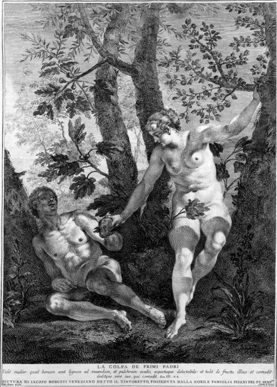 Adam und Eva, graviert von Pietro Monaco, ca. 1741-52 von Jacopo Robusti Tintoretto